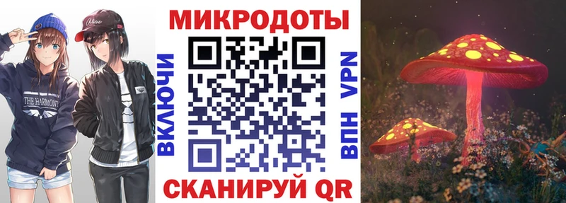 Галлюциногенные грибы Psilocybe  это формула  Родники 